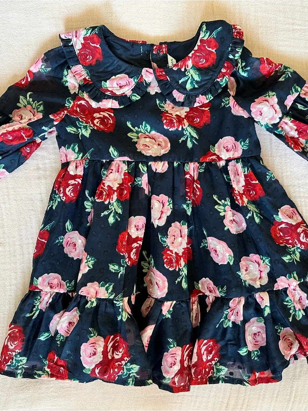 Janie and Jack Navy Floral Ruffle Collar Dress - Pink & Red Roses